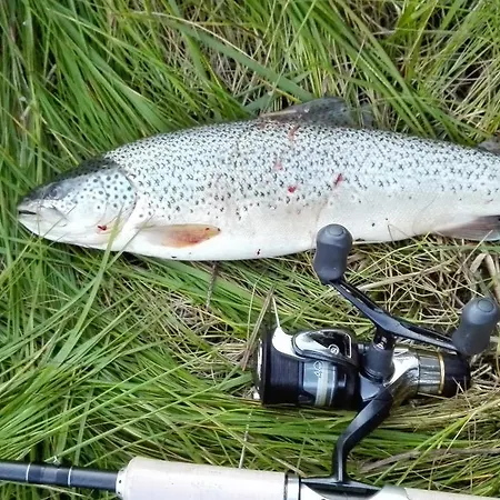 Alpesi faház Hytte4 *